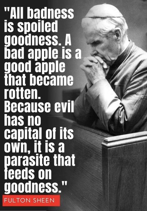 Venerable Fulton J. Sheen Rotten Apple Quote, Catholic Doctrine, Fulton Sheen, Discipline Quotes, Saint Quotes Catholic, Funny Feelings Quotes, Bad Apple, Christian Images, Smart Quotes