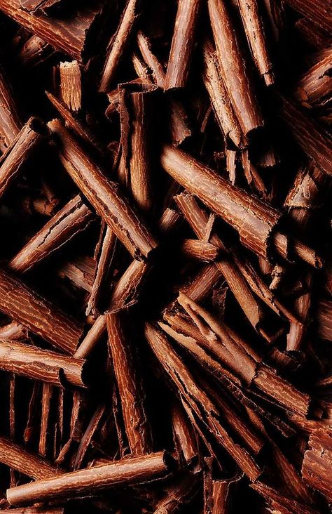 Cinnamon quills Fudge Cake, Chocolate Shavings, Aesthetic Colors, Brown Aesthetic, Brown Beige, Cinnamon Sticks, Textures Patterns, Chocolate Brown, Fudge