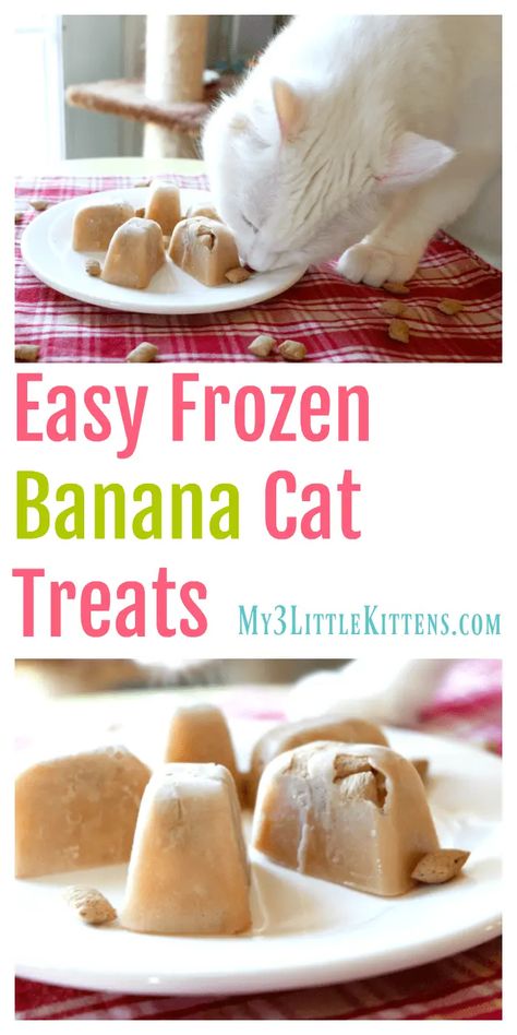 Easy Frozen Banana Cat Treats - My 3 Little Kittens Homemade Cat Ice Cream, Soft Cat Treats Homemade, Frozen Cat Treats Homemade, Homemade Meals For Cats, Cat Bucket List, How To Make Cat Treats, Cat Enrichment Diy, Diy Cat Treats Recipes, Cat Cpr