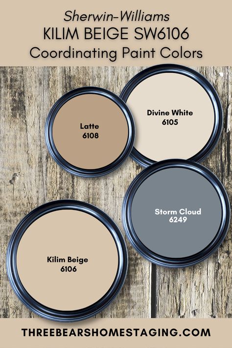 Coordinating Neutral Paint Colors, Grey And Sand Color Palettes, Sage And Brick Color Palette, Saddle Tan Paint Color, Tan Bathroom Color Schemes, Bedroom Color Schemes Beige, Sherwin Williams Kilim Beige Palette, Cream And Gray Color Palette, Cream And Beige Color Palette