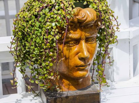 Huge Planters, Sculpture Face, Face Plant Pot, Vining Plants, Miniature Gardens, Face Planters, Best Plants, Head Planters, Spider Plants