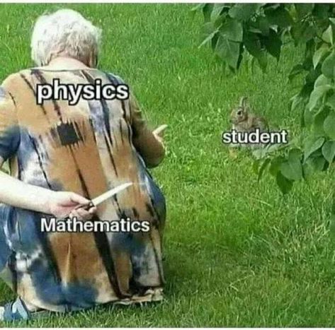 Math Memes Student, Group Chat Funny, Questions For Friends, Essay Writing Help, Clean Jokes, Essay Help, Christian Humor, Like Animals, Daily Memes