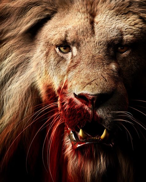 https://www.artstation.com/artwork/OoGxZv Angry Lion, Injured Lion Wallpaper, Angry Lion Wallpaper, Scary Lion Wallpaper, Wounded Lion, Lion Roaring Photography, Blood Wallpaper, Old Warrior, Lion Photography