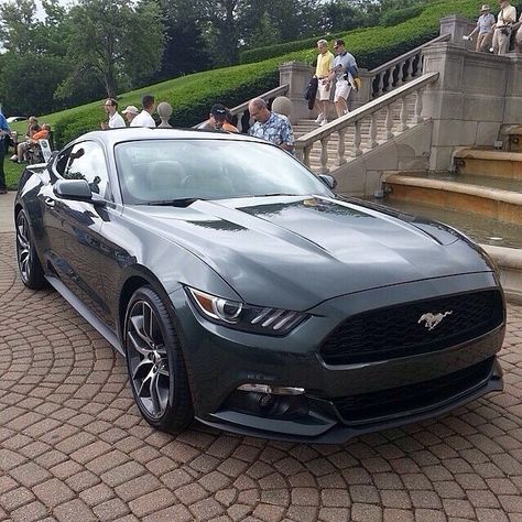 Mustang Car Aesthetic, 2023 Ford Mustang, 2022 Ford Mustang, New Ford Mustang, Ford Mustang Ecoboost, Mustang Car, Mustang Ecoboost, Pinewood Derby Cars, Dubai Cars