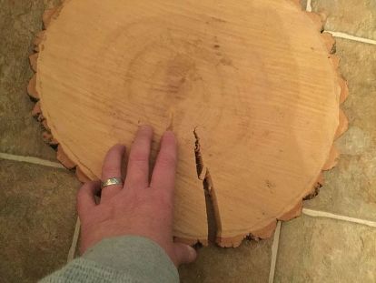 Tree Slice Table, How To Dry Wood Slices, Preserve Wood Slices, Wood Slabs Ideas Tree Slices, How To Fill Cracks In Wood Table, Wood Rounds Crafts Tree Slices, Filling Wood Cracks With Resin, How To Prepare Wood Slices For Crafts, How To Seal Live Edge Wood