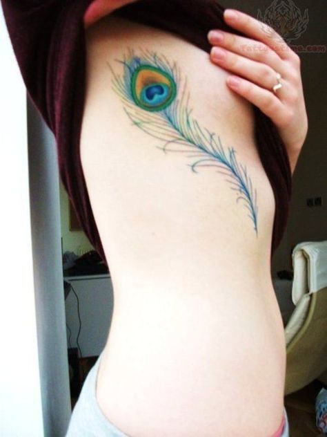 Peacock Feather On Side Breast Tattoo Tattoo Plume, Peacock Feather Tattoo, Peacock Tattoo, Sick Tattoo, Sweet Tattoos, Side Tattoos, Feather Tattoo, Feather Tattoos, Rib Tattoo