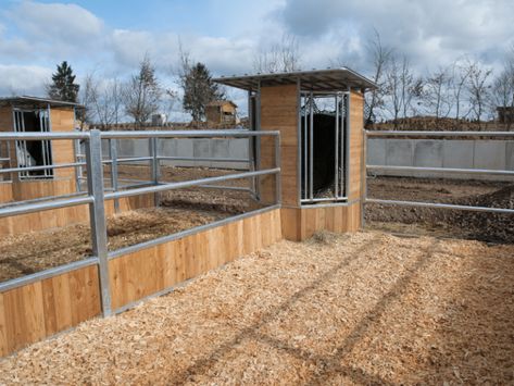 Hay depot for round bales - Hau Pferdesport Barn Layout, Horse Farm Ideas, Horse Paddock, Barn Hacks, Diy Horse Barn, Horse Barn Ideas Stables, Barn Stalls, Paddock Paradise, Horse Barn Designs