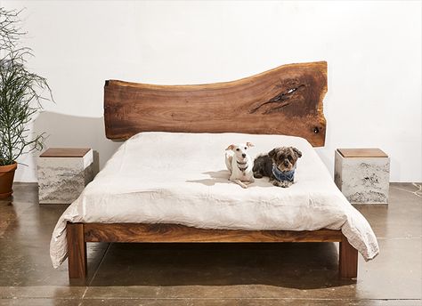 Brooklyn-based design studio In.Sek creates durable homeware items, including boxes, hanging planters, trays, concrete planters and pet accessories. Affordable Bedding, Wooden Bed, Live Edge, Headboards For Beds, Bedding Sets, Bed Frame, Bedroom Furniture, Black Friday, Side Table