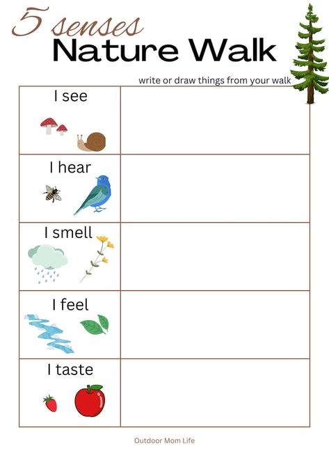 5 SENSES NATURE WALK Scavenger Hunt Printable Outside Sensory Nature Activity Nature Scavenger Walk Instant Download - Etsy UK Nature Preschool Worksheets, 2nd Grade Nature Activities, Nature Walk Activities For Toddlers, Homeschool Outside Activities, Nature Themed Activities For Kids, Nature Lessons For Preschool, Nature Scavenger Hunt For Kids Printable, Autumn Outdoor Activities, Garden Activities For Kids Classroom