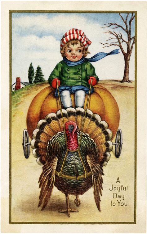 Funny Thanksgiving Pictures, Vintage Thanksgiving Greetings, Vintage Thanksgiving Cards, Happy Thanksgiving Images, Easter Vintage, Thanksgiving Pictures, Thanksgiving Images, Newlywed Christmas, Thanksgiving Greeting Cards