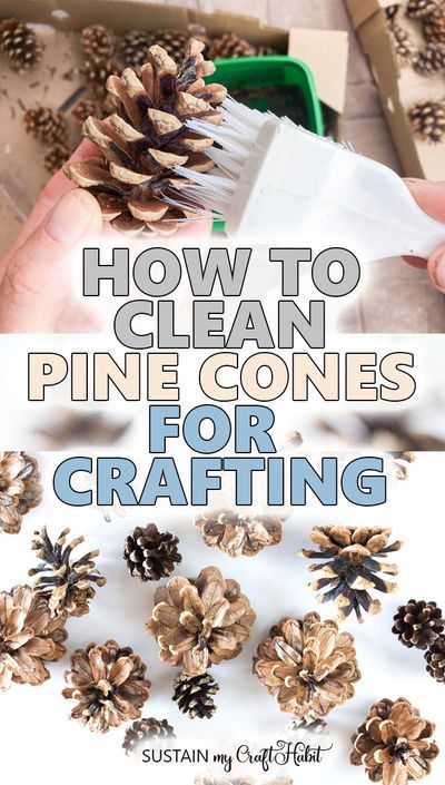 There are so many creative ways to use pine cones in your crafting, wedding, home decor and more. If you’re wondering how to clean pine cones for crafts, you’ve come to the right place. Whatever your inspiration, we’ll show you a simple and natural way of pine cone cleaning before you start crafting. #sustainmycrafthabit Pine Cone Crafts, Painted Pinecones, Pine Cone Art, Diy Pinecone, Wedding Home Decor, Pine Cone Decorations, Cones Crafts, Nature Crafts, Pine Cone