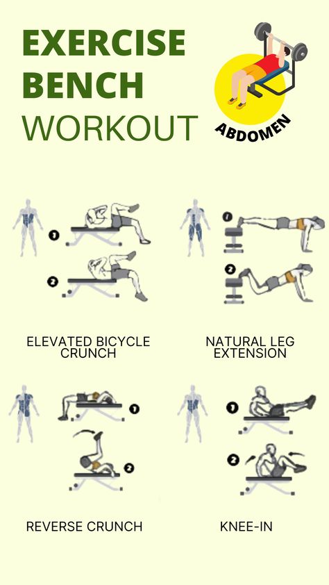 Workout Bench Leg Exercises, Weight Bench Leg Exercises, Leg Bench Workout, Core Bench Workout, Abs Workout Bench, Ab Workout Bench Exercise, Bench Abs Workout Gym, Abs On Bench, Bench Core Exercises