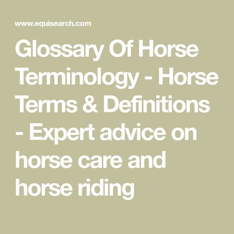 Horse Terminology, Horse Wormer Schedule, Equine Science, Horse Hacks, Therapeutic Horseback Riding, Books About Horses, Horse Facts, Horse Camp, Eventing Horses