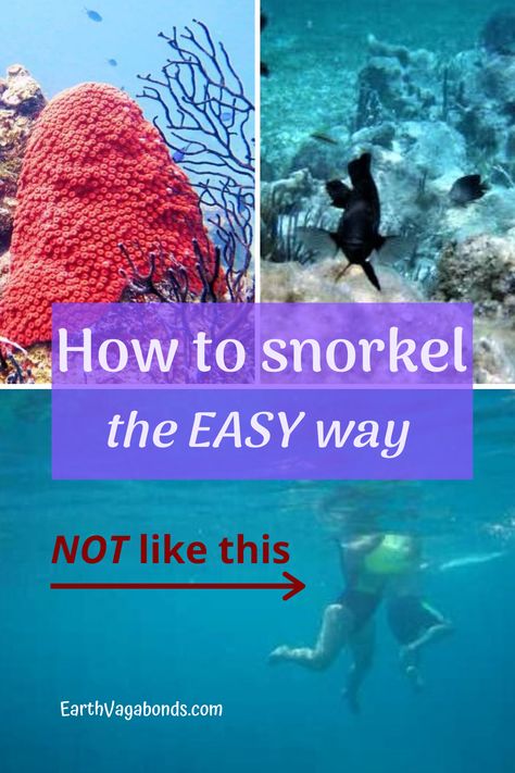 How To Snorkel, Thailand Activities, Koh Samui Beach, Best Snorkeling, Thailand Beaches, Swimming Activities, Easy Cheap, Beach Adventure, Underwater Life