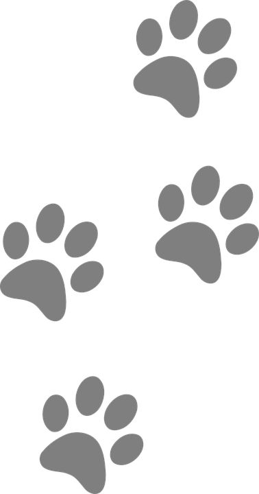 Footprints Animal Dog - Free vector graphic on Pixabay Dog Paw Drawing, Cow Eyes, Dogs Drawing, Paw Drawing, Dogs Paw, Ideas For Dogs, Dog Paw Tattoo, Paw Tattoo, 강아지 그림