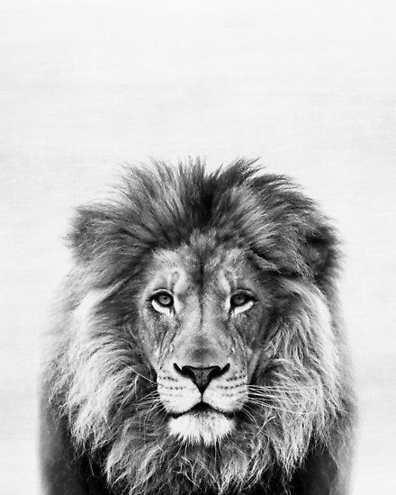 Buy 'Lion' by Julia Emelianteva as a Graphic T-Shirt, Poster, Throw Pillow, Tote Bag, Art Print, Canvas Print, Framed Print, Art Board, Photographic Print, Metal Print, Greeting Card, Drawstring Bag, or Spiral Notebook Lion Head Tattoos, Lion Drawing, Lion Poster, Lion Tattoo Design, Lion Images, Lion Canvas, Lion Pictures, Trash Polka, Lion Print