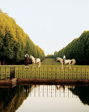 Grey Horses, Dream Stables, Zsazsa Bellagio, Country Lifestyle, Equestrian Lifestyle, Chateau France, Equestrian Life, White Horses, Old Money Aesthetic