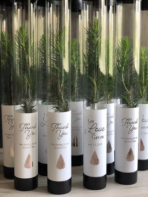 Tree Wedding Favors, Let Love Grow, Event Favors, Best Wedding Favors, Rustic Wedding Favors, Seni Origami, Future Wedding Plans, Wedding Favors For Guests, White Pine