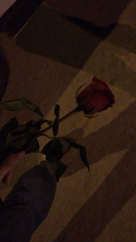 Nurissa Rose Vibes, Shahd Core, Rose In Hand, Rose Pic, Grey Wallpaper Iphone, Metal Aesthetic, Roses Aesthetic, Buy Myself Flowers, Dark Red Roses