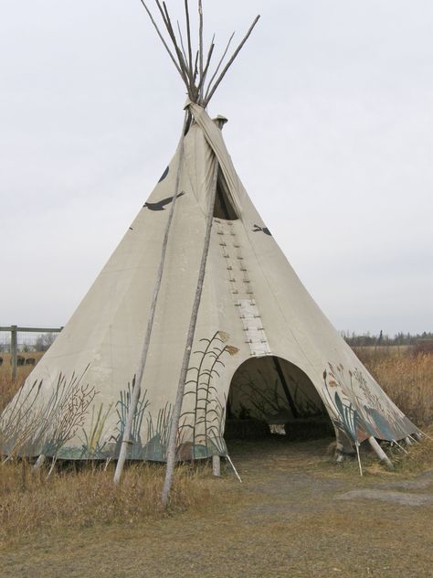 teepee Wilderness Survival Shelter, Indian Teepee, Native American Teepee, Tenda Camping, Survival Shelter, Teepee Tent, Native American Peoples, Wilderness Survival, Native American History