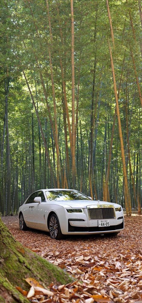 A Rolls-Royce is more than a motor car. It is a work of art, hand-made to order exclusively for you, by our team of highly skilled craftspeople and designers. Whatever you imagine your ideal motor car to be, bring your unique vision to life with Rolls-Royce Bespoke.
#rolls-royce #supercar #luxurycar #vipcar #v12 #sportscar #mostpowerfulcar #car #rich #miami
#rich Splendor Plus Bike Photo, Billionaires Lifestyle, Interior Car Cleaning, Car Rolls Royce, Rolls Royce Wallpaper, Car Interior Ideas, Moto Wallpapers, Aesthetic Car Accessories, Rolls Royce Car