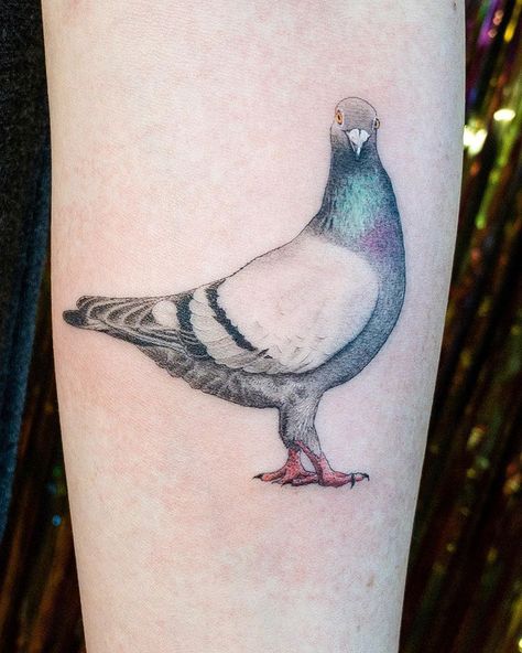 Pigeon Tattoo, Raccoon Tattoo, Cute Pigeon, Nature Tattoo Sleeve, Hand Tattoos For Guys, Tattoo Meaning, Nature Tattoos, Skin Art, Pretty Tattoos