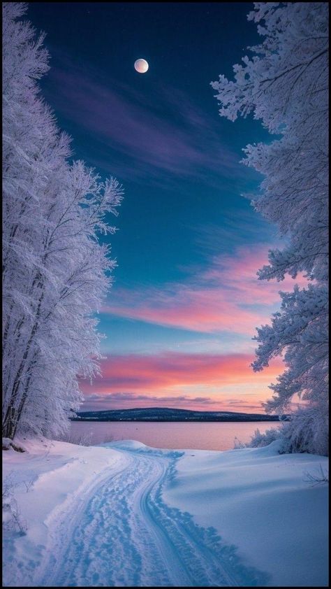 Christmas Scenery, Pretty Landscapes, Winter Vibes, Winter Wallpaper, Winter Scenery, Beautiful Landscape Wallpaper, Winter Pictures, Pretty Wallpapers Backgrounds, Alam Yang Indah