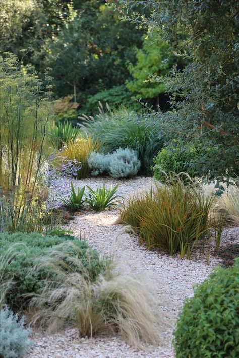 Large Garden Wall Ideas, Gravel Planting Ideas, Gravel Garden Plants, Planting In Gravel, Garden Gravel Border Ideas, Rockery Plants Uk, Gravel And Grass Garden Ideas, Gravel Garden Planting, Gravel Front Garden Ideas Uk