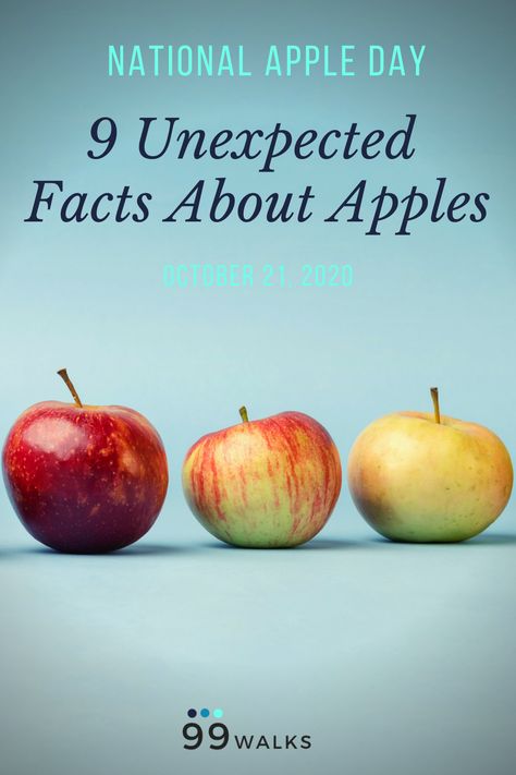 When the air turns crisp and the leaves turn the color of a sunset, it means apples are ripe for the picking. People all over the country flock to apple orchards to select the perfect apples to turn into scrumptious treats from pies and crisps, to applesauce and apple cider, jellies and butters. So today, in celebration of National Apple Day, we wanted to share nine fun and unexpected facts about apples. Pie, National Apple Day, Apple Facts For Kids, Apple Trivia, Apple Poem, Apple Memes, Apple Facts, Apple Day, Apple Festival