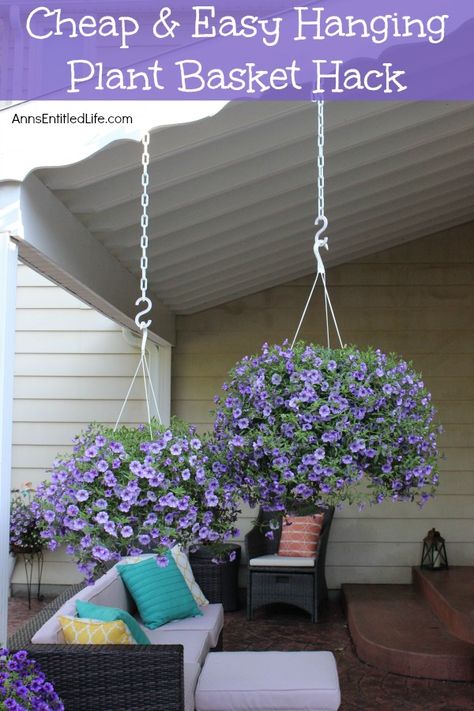 Cheap and Easy Hanging Plant Basket Hack. This unbelievably easy, inexpensive, hanging plant basket hack will change the way you look at your outdoor plants and decor. Easy watering access and the ability to stagger your plants for optimal visual enjoyment are just two of the benefits. This no rust, no fuss hack is so simple, you will wonder why you had not tried it before! Hanging Plant Basket, Hang Plants, Hanging Plants Outdoor, Hanging Plants Diy, Hanging Flower Baskets, Hanging Plants Indoor, Plants For Hanging Baskets, Meteor Garden 2018, Magic Garden