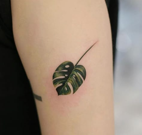 Monstera deliciosa leaf tattoo done by @tattooist_doy | www.otziapp.com Monstera Deliciosa Tattoo, Hawaii Tattoo Ideas, Monstera Tattoo, Hawaii Tattoo, Negative Space Tattoo, Hawaii Tattoos, Leaf Tattoo, Beautiful Hawaii, Hawaiian Tattoo