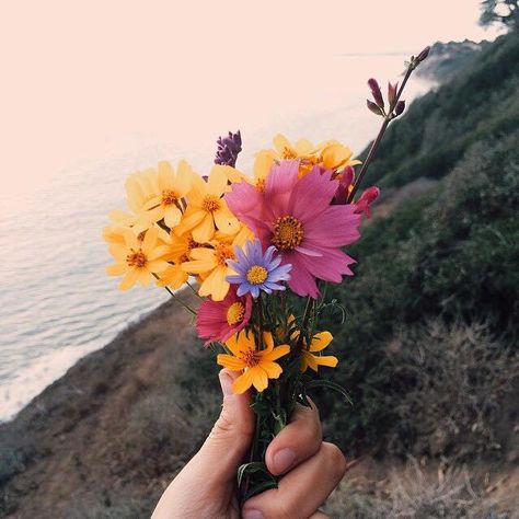 Pinterest ~ Anele ~~ @an31eol3s ❤️ Hand Picked Flowers, Picked Flowers, Plants Are Friends, Holding Flowers, Pretty Plants, Flower Child, Plant Life, Love Flowers, My Flower