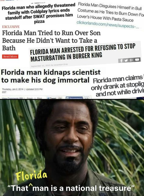 The History of the Florida Man Meme Florida Memes Humor, Florida Jokes, Florida Humor, Florida Man Funny, Florida Man Headlines, Florida Man, Florida Weather Humor, Florida Meme, Florida Man Meme