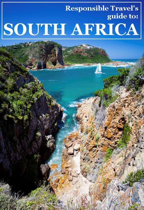 Our guide is full of travel tips and advice for South Africa! Visit Cape Town, go on a safari, tour Pretoria, experience the food, explore Johannesburg and get lost in the culture South Africa Road Trips, South Africa Travel Guide, South Africa Photography, Africa Travel Guide, Thailand Adventure, Knysna, South Africa Travel, Garden Route, Koh Tao