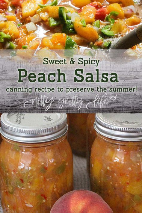 Spicy Peach Salsa, Salsa Recipe For Canning, Peach Salsa Recipe, Canned Salsa Recipes, Salsa Canning Recipes, Peach Salsa Recipes, Canning Peaches, Canning Salsa, Canning Fruit