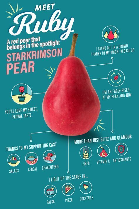 Pear Varieties, Animal Infographic, Red Pear, Infographic Map, Infographic Design Layout, Creative Infographic, Healthy Food Recipes Clean Eating, Infographic Poster, Publicidad Creativa