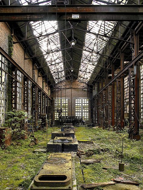 Belgium 2005 - Michael Schultz Abandoned Factory Interior, Overgrown Factory, Overgrown Abandoned, Warehouse Living, Abandoned Warehouse, Warehouse Design, Genius Loci, Industrial Architecture, Adaptive Reuse