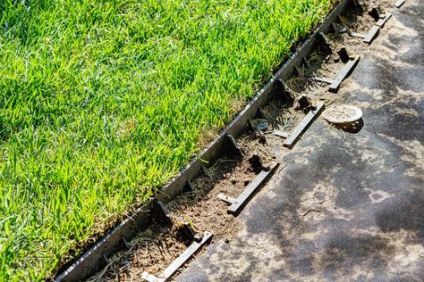 Garden Border, Sustainable Garden, Garden Edging, Railroad Tracks, Terrace, Sustainability, Lawn, Trees, Wood