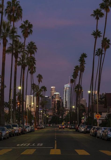 West Los Angeles Aesthetic, Los Angeles View Night, California High School Aesthetic, Dark Los Angeles Aesthetic, 2016 La Aesthetic, 90s La Aesthetic, Los Angeles Night City Lights, La At Night Aesthetic, La Aesthetic Wallpaper