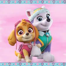 Skye And Everest, Sky Paw Patrol, Everest Paw Patrol, Sky E, Nicolas Cage, Smile Face, Paw Patrol, Main Characters, Nickelodeon