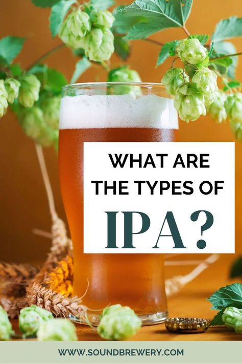 India Pale Ale, or IPA, is a popular beer style known for its unique brewing process and bitter taste. The hoppy flavor of IPAs defines typical Indian pale ales, yielding a wonderfully balanced flavor that is a favorite on the craft beer scene. | What Is the Difference in IPA Beers? | Types of IPA Beers | What’s the Most Popular IPA? | How to Choose a Great-Tasting IPA | #ipa #craftbeer #beer #craftbeerlife Ipa Recipe, Homemade Alcohol, Popular Beers, Homebrew Recipes, Ipa Beer, Brewing Process, India Pale Ale, Pale Ale, The Craft