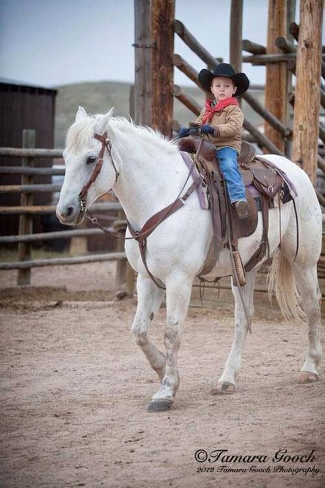 Arte Cowboy, Horse Books, Cowboy Girl, Little Cowboy, Western Riding, Country Kids, Cowboy Art, Horse Crazy, Baby Cowboy