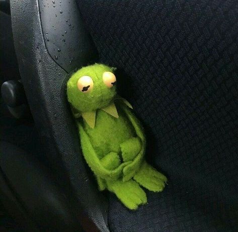 sad mood Sapo Kermit, Kermit Meme, Kermit Funny, Kermit The Frog, Frog And Toad, The Frog, Funny Animal Pictures, Wallpaper Iphone Cute, Cute Anime Couples