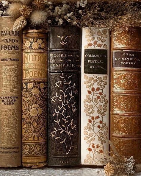 Light Academia Books, Victorian Literature, John Milton, L Wallpaper, Library Aesthetic, Vintage Book Covers, Personal Aesthetic, Bookish Things, Gloomy Day