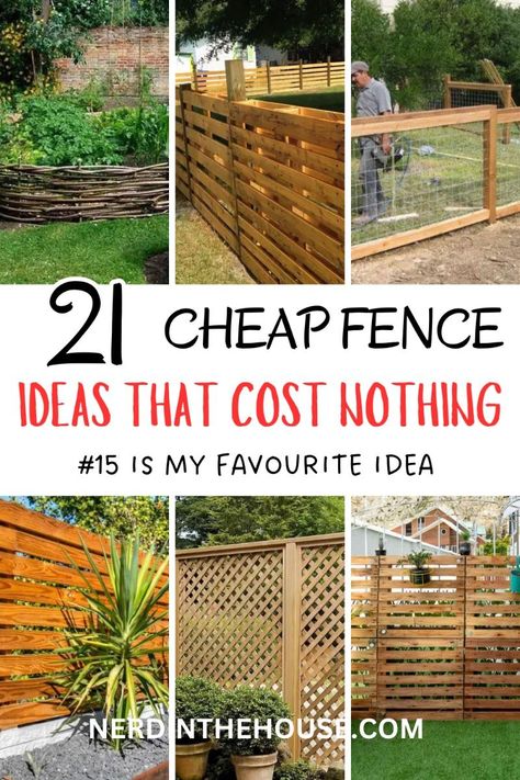 Install a vertical garden on a fence or wall. Use it to grow herbs, flowers, or succulents, which saves space and adds greenery to your backyard. No Fence Backyard Ideas, Affordable Fencing Ideas, Fun Fence Ideas, How To Build A Garden Fence, Low Cost Fence Ideas, Cheapest Privacy Fence Ideas, Fencing Ideas For Large Property, Budget Friendly Landscaping Ideas, Diy Small Fence