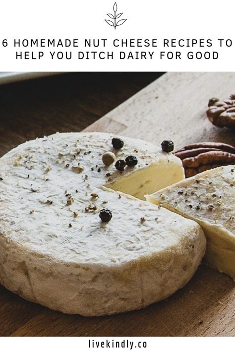 Fermented Nut Cheese, Macadamia Nut Cheese, Vegan Havarti Cheese, Vegan Nut Recipes, How To Make Vegan Cheese, Nut Cheese Recipe, Cheese Guide, Vegan Cheese Recipe, Cashew Cheese Recipe