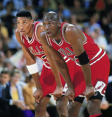 Michael Jordan and Scottie Pippen look on during Game 5 of the NBA Finals between the Chicago Bulls and Los Angeles Lakers on June 12, 1991 at The Forum in Inglewood, Calif. Michael Jordan And Scottie Pippen, Scotty Pippen, Live Shrimp, Michael Jordan Scottie Pippen, Shrimp Food, Jordan V, Michael Jordan Basketball, Bola Basket, Sport Nutrition