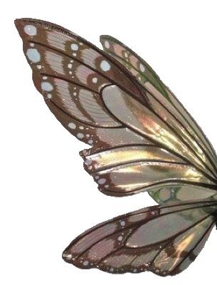 Fairy Wings Aesthetic, How To Make Wings, Green Fairy Wings, Pixie Wings, Butterfly Fairy Wings, Wings Png, Desain Quilling, Pixie Hollow, Fairycore Aesthetic