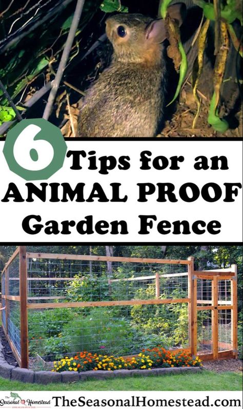 Fencing Vegetable Garden, Fenced In Vegetable Garden Ideas, Fencing For Raised Garden Beds, Raised Garden Fence Ideas, Galvanized Wire Fence, Garden Fence Chicken Wire, Vegetable Garden Fence Ideas Diy, Cute Garden Fence Ideas, Deer Proof Fence For Garden