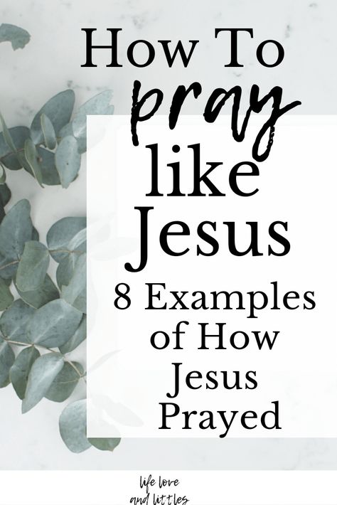 Jesus gives us many examples throughout the bible on how to pray.  Here are 8 ways Jesus teaches us how to pray. You can apply these ways to your daily prayer life.  #prayer #Jesus #howtopray #inspiration #quotes #pray #God #faith Life Prayers, Praying For Someone, Prayer Closet, Jesus Teachings, Jesus Praying, How To Pray, Christian Quote, Prayer Life, Jesus Faith